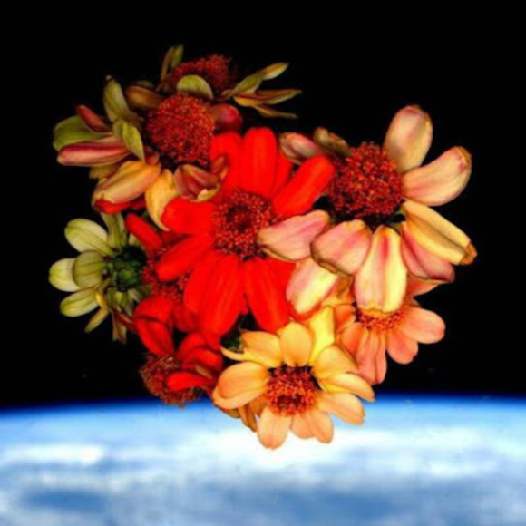 Meet your Posher, Teddy - Picture 1 of 1